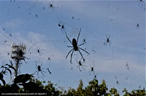 Mysterious Rain of Blood and Money: Scientists Baffled by Strange Global Phenomena - image 5