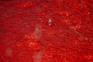 Mysterious Rain of Blood and Money: Scientists Baffled by Strange Global Phenomena - image 9