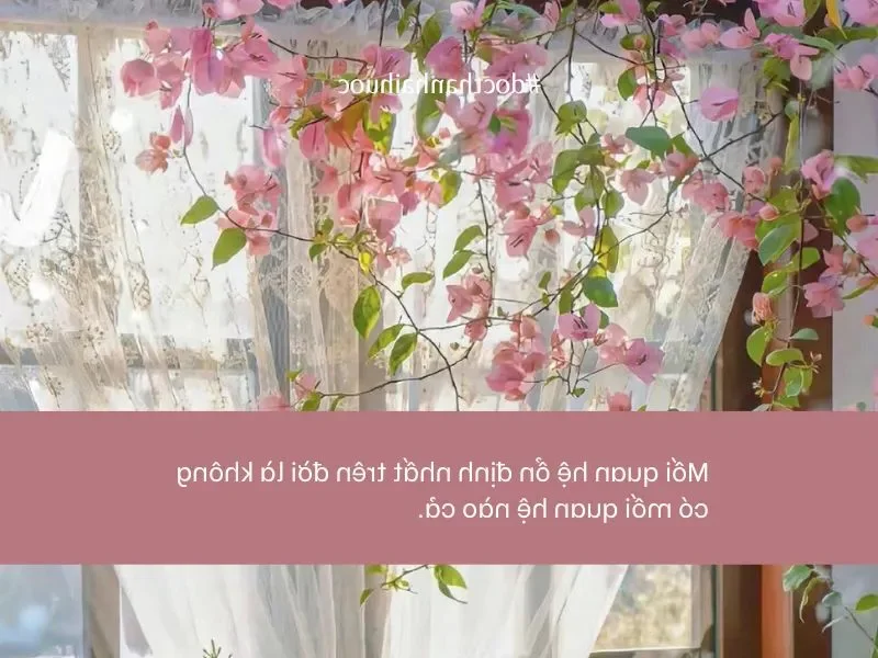 111 Funny and Unique Singles Day Captions and Wishes for 11 11