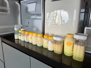 Ngo Thanh Van Faces Unsolicited Parenting Advice After Sharing Weaning Journey Online - image 6