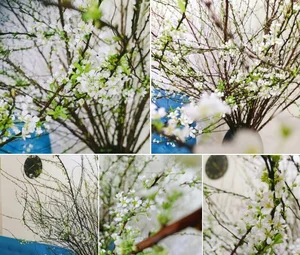 5 Affordable Imported Flower Trends for Elegant Lunar New Year Home Decor - image 7