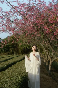 Spring Aesthetic: Xiao Yue Among Cherry Blossoms and Tea Mountains - YiTuYu Art Language Vol.9056 Portrait Photography Series - image 12