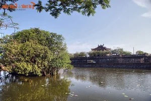 Discover the Ancient Natural Cooling System of Hue Imperial City: Vietnam's Architectural Masterpiece - image 10