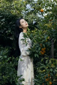 The Sophisticated Style of A Qin Da Da: Art Language Vol.6217 - image 6