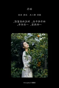 The Sophisticated Style of A Qin Da Da: Art Language Vol.6217 - image 19