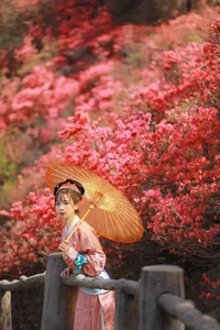 Art Language Vol.6258 Zhou Zhou AY - High-End Digital Art Gallery - image 7