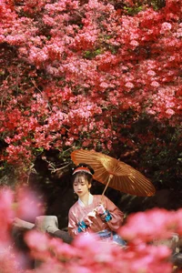 Art Language Vol.6258 Zhou Zhou AY - High-End Digital Art Gallery - image 2
