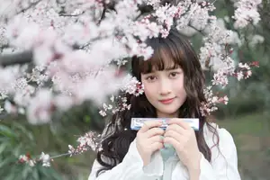 Discover Yi Ke Chong Ya (YiTuYu Vol.8721) in Spring Blossoms: Poetic Charm & Allure - image 33