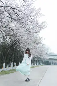 Discover Yi Ke Chong Ya (YiTuYu Vol.8721) in Spring Blossoms: Poetic Charm & Allure - image 27