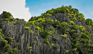 Ha Long Bay's Ancient Cliffs Bloom in Spectacular July Natural Phenomenon - image 6