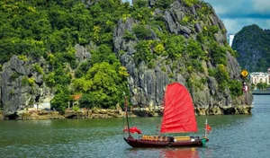Ha Long Bay's Ancient Cliffs Bloom in Spectacular July Natural Phenomenon - image 1