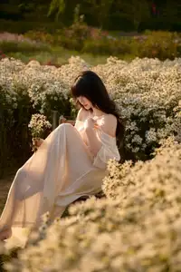 Poetic Beauty in a Daisy Garden: Serene Moments Under Gentle Sunset Glow. Discover This Dreamy Scene! - image 0