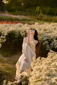 Poetic Beauty in a Daisy Garden: Serene Moments Under Gentle Sunset Glow. Discover This Dreamy Scene! - image 1