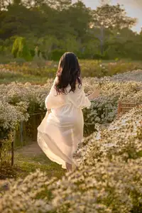 Poetic Beauty in a Daisy Garden: Serene Moments Under Gentle Sunset Glow. Discover This Dreamy Scene! - image 7