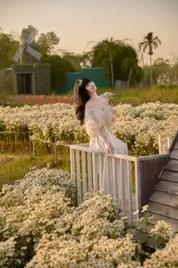 Poetic Beauty in a Daisy Garden: Serene Moments Under Gentle Sunset Glow. Discover This Dreamy Scene! - image 8