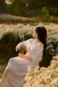 Poetic Beauty in a Daisy Garden: Serene Moments Under Gentle Sunset Glow. Discover This Dreamy Scene! - image 3