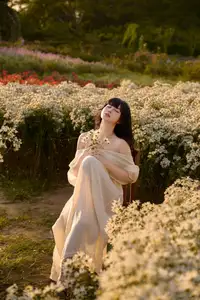 Poetic Beauty in a Daisy Garden: Serene Moments Under Gentle Sunset Glow. Discover This Dreamy Scene! - image 2