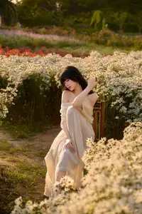 Poetic Beauty in a Daisy Garden: Serene Moments Under Gentle Sunset Glow. Discover This Dreamy Scene! - image 4