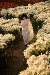 Poetic Beauty in a Daisy Garden: Serene Moments Under Gentle Sunset Glow. Discover This Dreamy Scene! - image 10