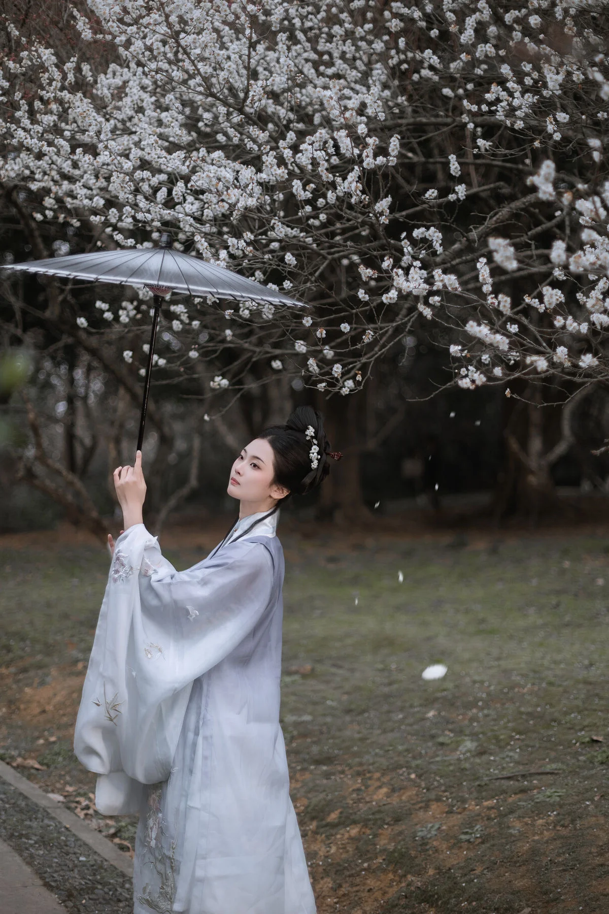 Stunning Visuals of Ting Er in YiTuYu Art Language Vol.6487
