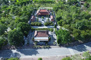 The Heroic Legacy of the 13 Female Volunteers at Truong Bon - image 1