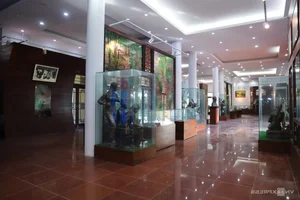 The Heroic Legacy of the 13 Female Volunteers at Truong Bon - image 7
