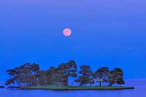 Exploring 10 Mysterious and Hidden Torii Gates Across Japan's Secret Landscapes - image 6