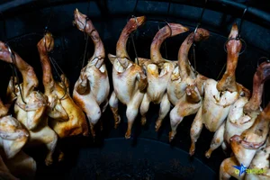 Discover the Famous Roasted Chicken Pho Stall in Hanoi Selling Hundreds Daily - image 6