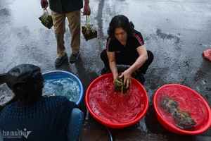 A Traditional Hanoi Family Preserves Tet Heritage by Wrapping 175 Banh Chung - image 21