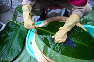 A Traditional Hanoi Family Preserves Tet Heritage by Wrapping 175 Banh Chung - image 20