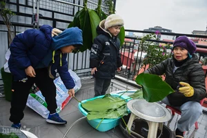 A Traditional Hanoi Family Preserves Tet Heritage by Wrapping 175 Banh Chung - image 3