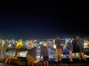 Thousands of Fish Wash Ashore in Quang Ninh After Typhoon Yagi - image 5
