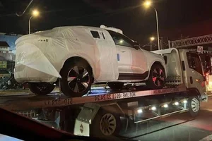 Electric Vehicle Boom in Vietnam: Chinese EVs Dominate Market - image 2