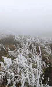 Chasing Ice and Frost in Northern Vietnam: A Winter Guide to Binh Lieu and Lang Son - image 3