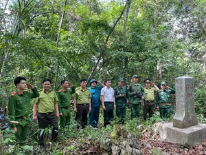 Battling the 'Fire Devils': Protecting Our Vital Border Forests from Destruction - image 1