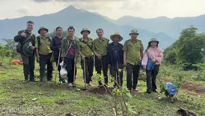 Battling the 'Fire Devils': Protecting Our Vital Border Forests from Destruction - image 4