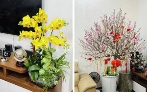 How Veteran Vietnamese Artists Celebrate Tet: Traditions from North to South - image 4