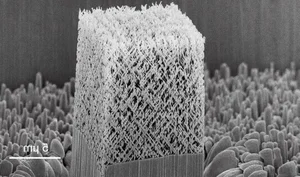 The Global Hunt for Rare Earth Elements: Why This 'Soil' Matters - image 12