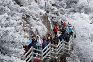Resilience Amidst the Chill: Chinese Citizens Battle Record-Breaking Cold Wave - image 3
