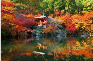 Experiencing Autumn in Japan: A Breathtaking Guide to the Season of Red and Gold Leaves - image 9