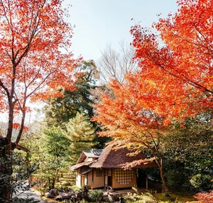 Experiencing Autumn in Japan: A Breathtaking Guide to the Season of Red and Gold Leaves - image 3