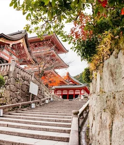 Experiencing Autumn in Japan: A Breathtaking Guide to the Season of Red and Gold Leaves - image 6