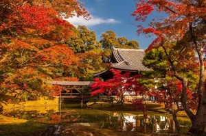 Experiencing Autumn in Japan: A Breathtaking Guide to the Season of Red and Gold Leaves - image 5