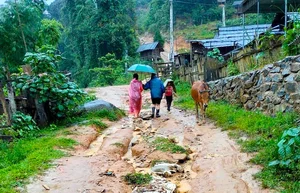 Heartwarming Efforts of Teachers Navigating Rough Terrain to Bring Kids to School - image 8