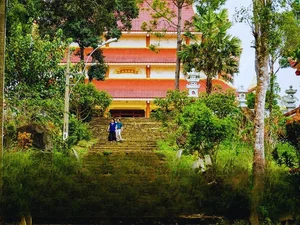 Discover Mang Den: The Most Beautiful Hidden Gems and Photography Spots in Vietnam's Highland Paradise - image 0