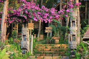 Discover Mang Den: The Most Beautiful Hidden Gems and Photography Spots in Vietnam's Highland Paradise - image 3