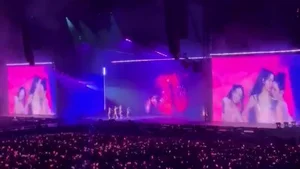 BlackPink Drives Fans Wild by Dancing to Viral Vietnamese Hit See Tinh - image 2