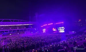 BlackPink Drives Fans Wild by Dancing to Viral Vietnamese Hit See Tinh - image 3