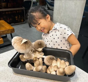 Actress Le Phuong's Culinary Journey: Mastering Online Recipes and Her Mother's Funny Dilemma - image 10