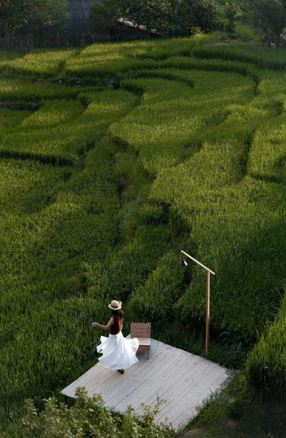 Lao Chai: The Peaceful Muse Enchanting Travelers in Sapa